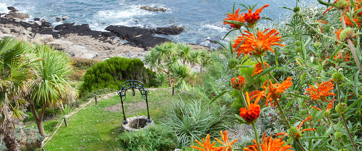May garden photo