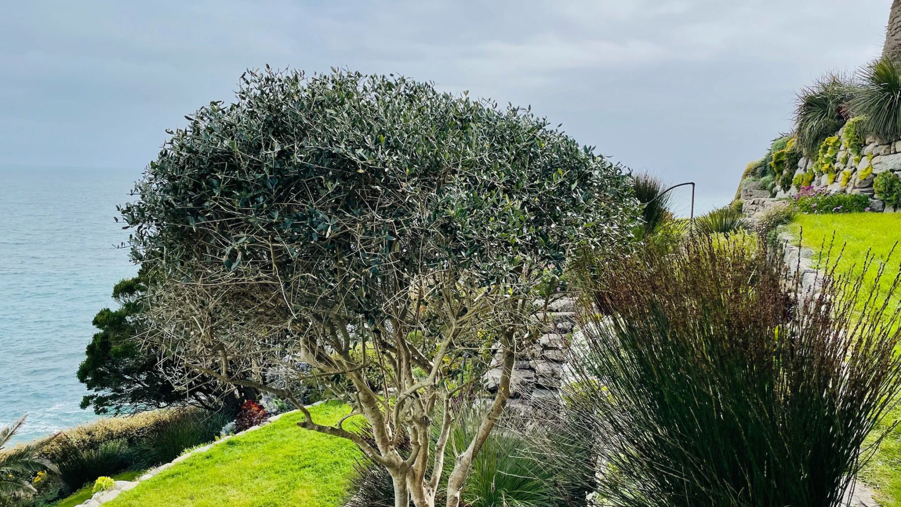 November garden photo