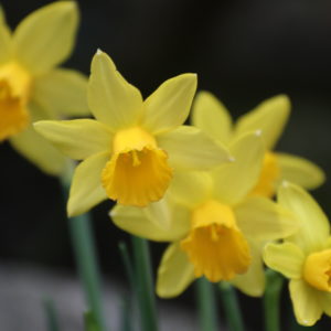 February