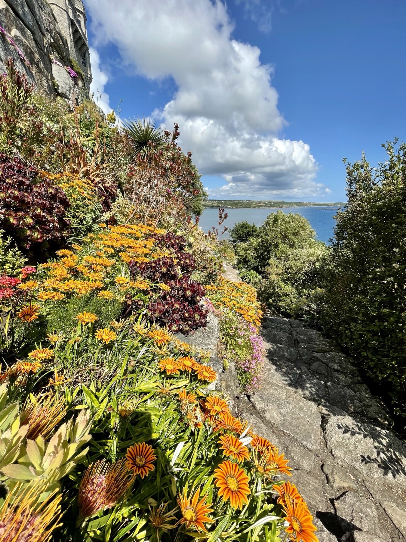 June garden photo