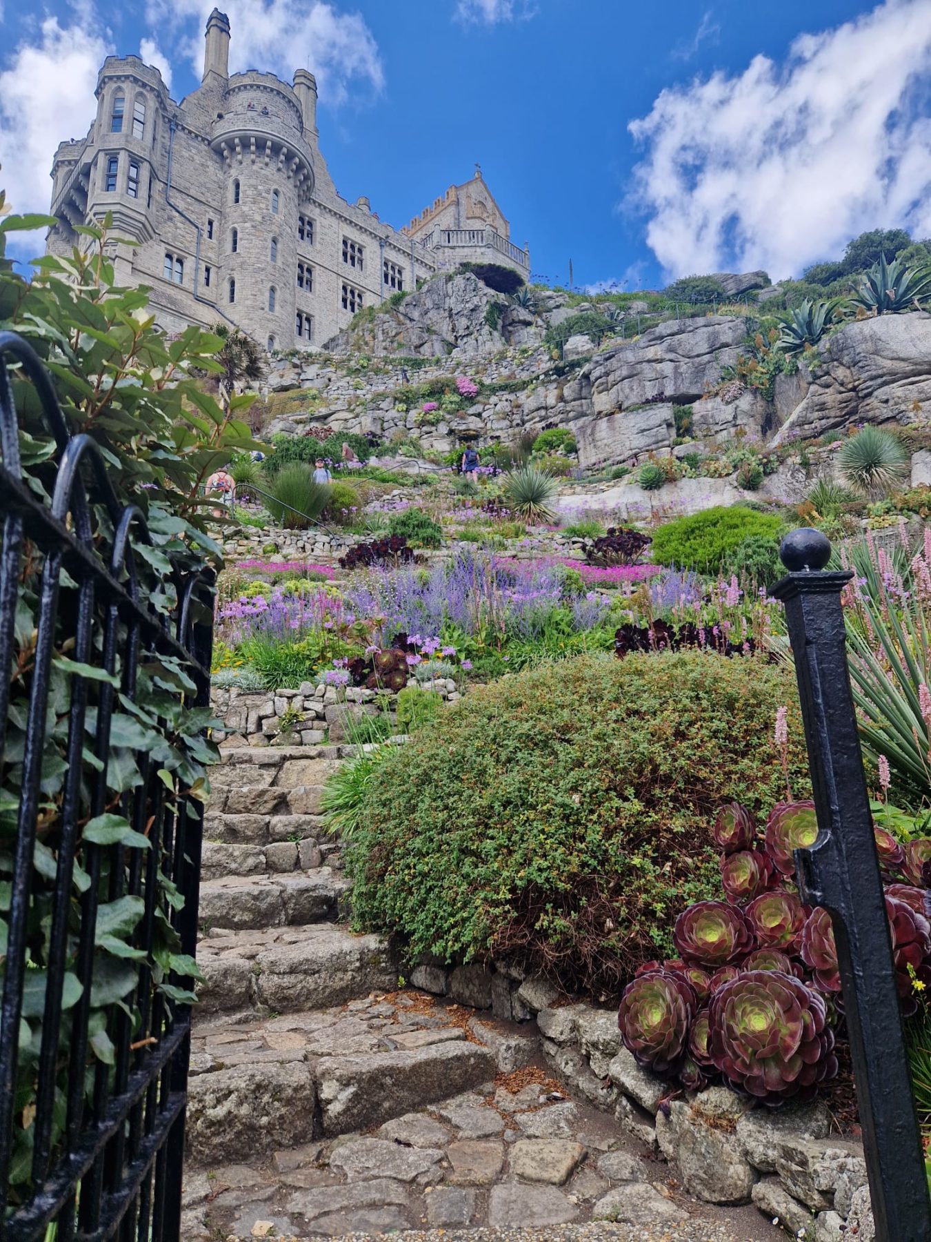 May garden photo
