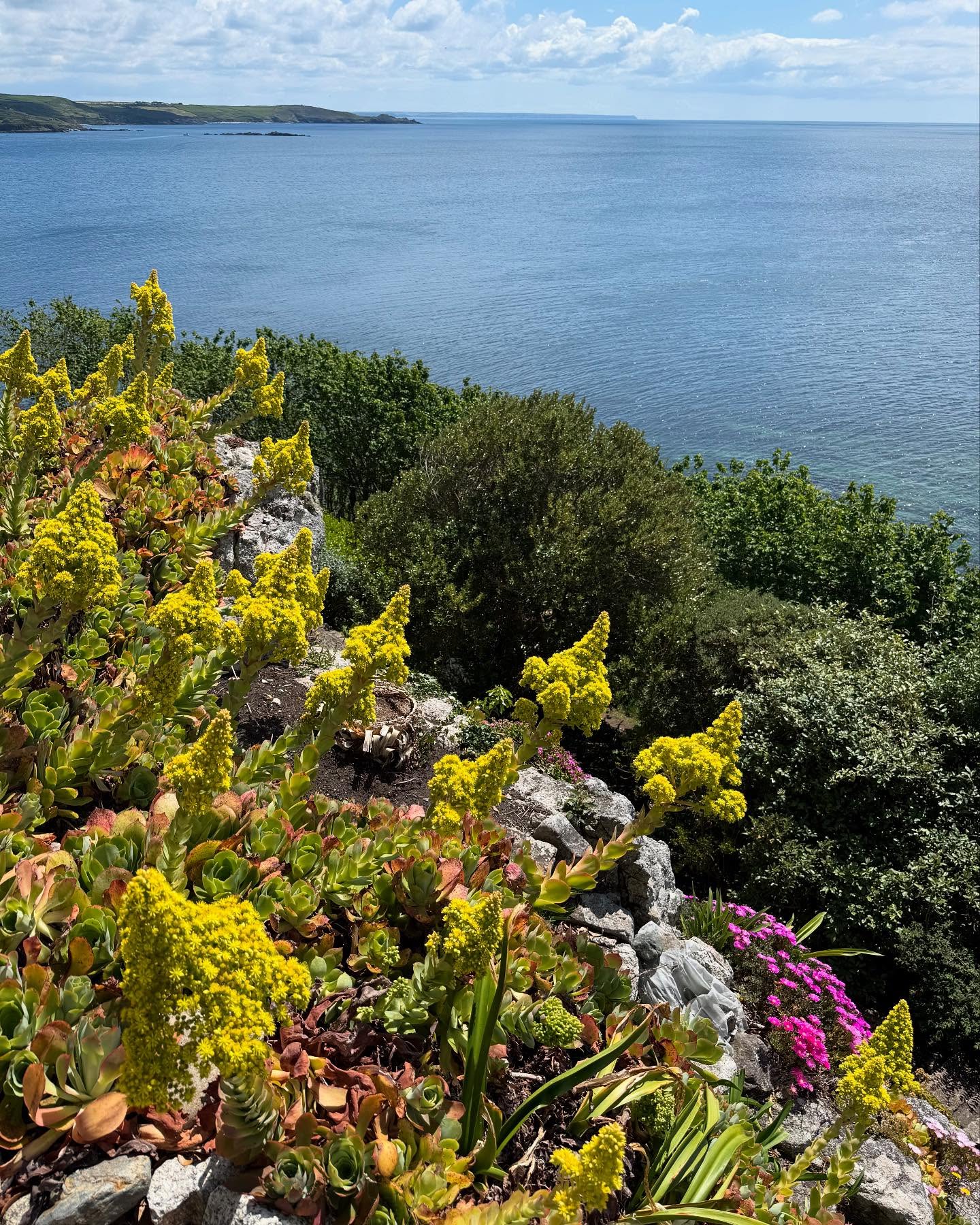 August garden photo